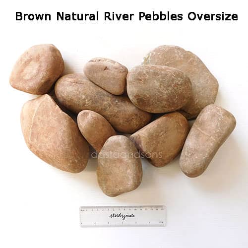 Brown / Natural River Pebbles Oversize