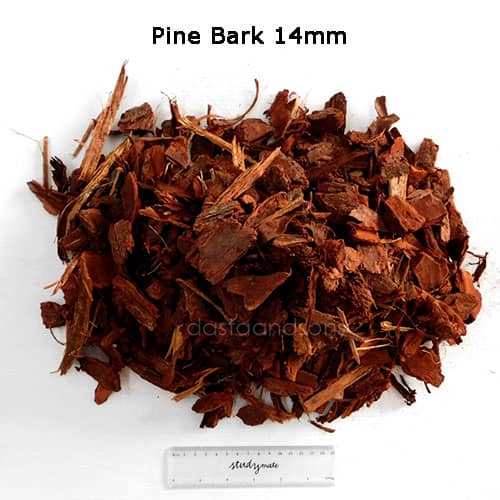 Pine Bark 14mm
