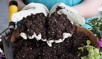 Potting Mixes buy potting mix in Melbourne