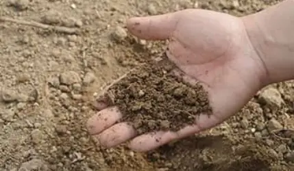 Soil Improvers Soil Improvers