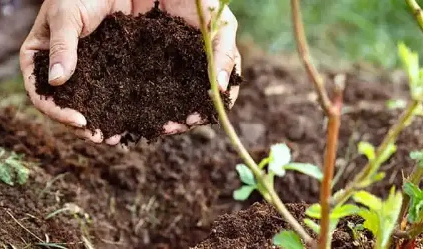 Fertiliser for Garden